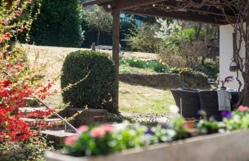 Villa Ardoise direkt an der Mosel zwischen Cochem und Koblenz - Foto 20