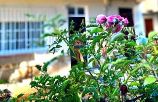 La casa de Angel y Olimpia - Photo 8