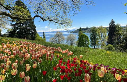 Bodensee Strandläufer Quartier - Foto 7