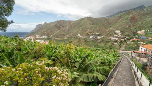 La Estrella - Foto 2