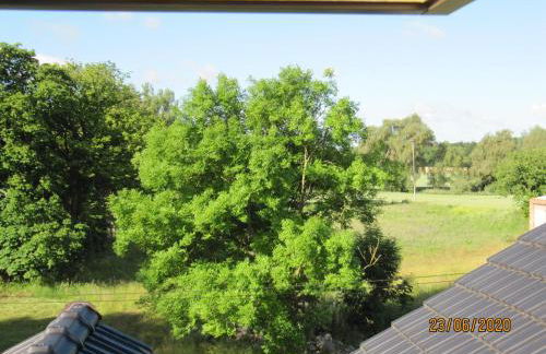 Forsthof Schlemmin - Foto 22