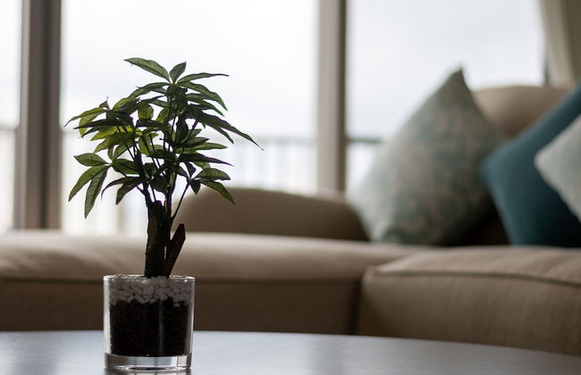 COZY STAY in Naha - Foto 44