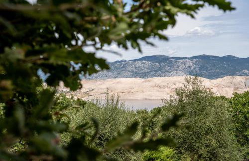 Villa Pag Dubrava Relax with Pool - Photo 79