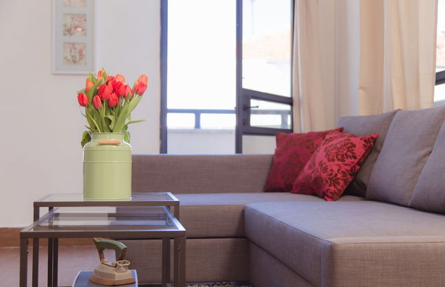 Shenkin Vilmar Apartments - Foto 54