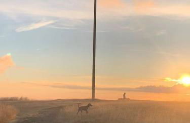 Stube9 am Feldberg, direkt an der Skipiste, Ski in-Ski out - Photo 48