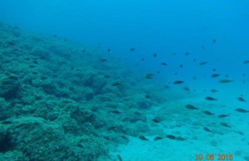 Mary's house - Photo 47