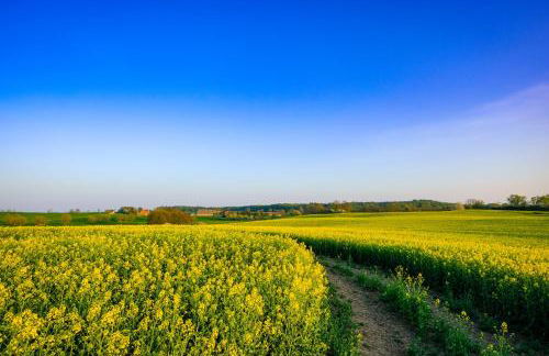 Ferienwohnung am Kunterbunthof - Foto 53