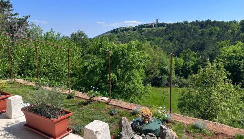 Santa Lucia App - Foto 4, Garden