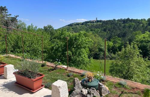 Santa Lucia App - Foto 4