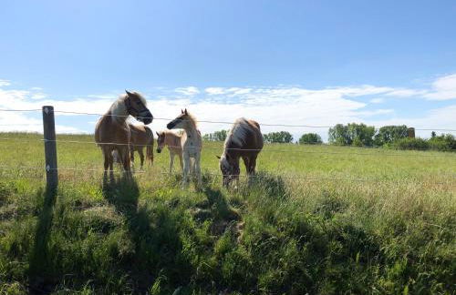 Am Achterwasser DORF 12 - Foto 11