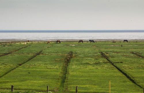 Wohnung Peper - Foto 26