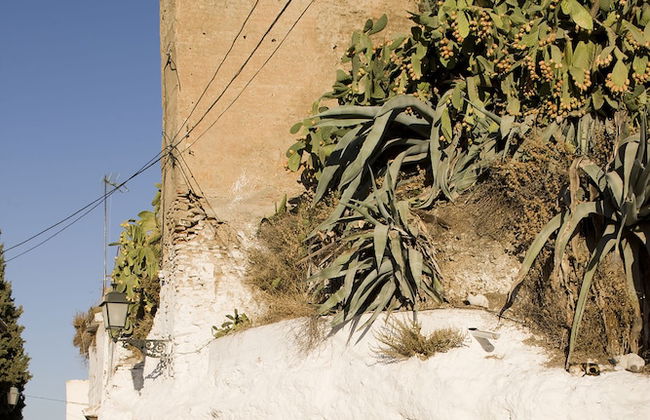 Cueva de la Muralla - Sacromonte - Foto 16