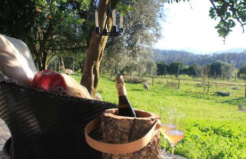 Casa de Vilar de Rei, a tranquilidade do mundo rural - Foto 16