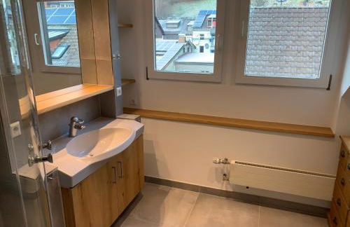 Schwarzwaldhorst 1 für 8 Gäste in Todtnau, Liftverbund Feldberg - Foto 17