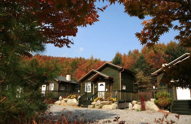 Hurb Green - Foto 63