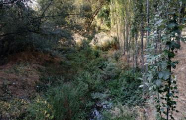 La Fresneda de Polendos - Foto 17