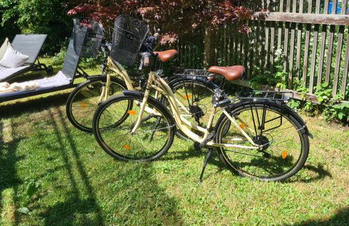 Rosenzauber Gipfelstürmer - Foto 26