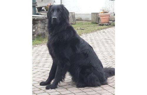 Vakantie in het Dorp - Foto 35