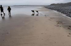 North Devon seaside cottage with log burner - Foto 34