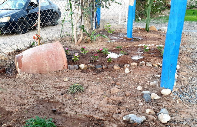 Banana beach house Morocco - Photo 24