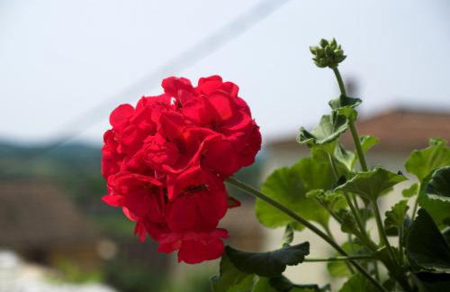 Villa Visnjan Residence - Photo 46