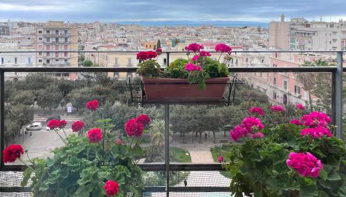 MyHouse B&B - Trani dall'alto - Foto 3