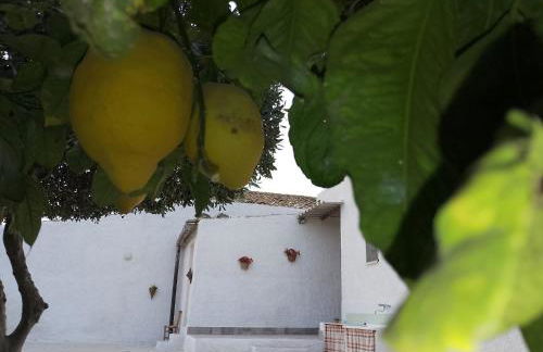 Casa Vacanza L'Agrumeto - Foto 11