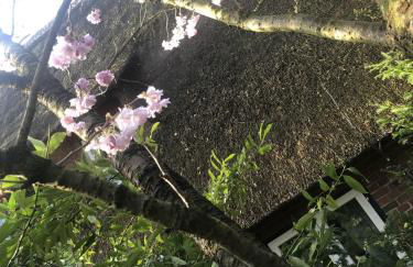 Bücherträume - Foto 21