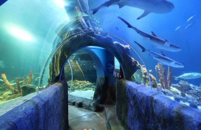 Oberhausen Urban Retreat - Foto 30