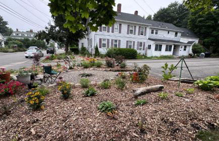 Welcome to our BoHo Tree House - Foto 18