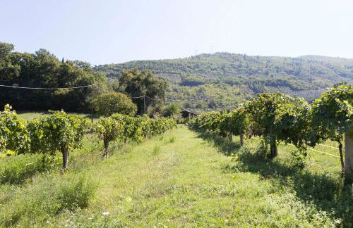 Agriturismo I Melograni - Foto 30