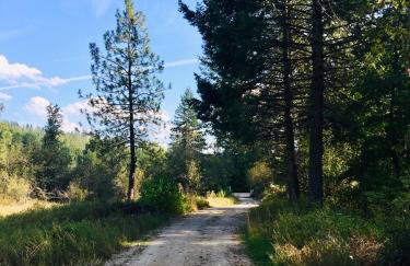 Tranquil Nature Retreat on 12 acres! - Foto 42