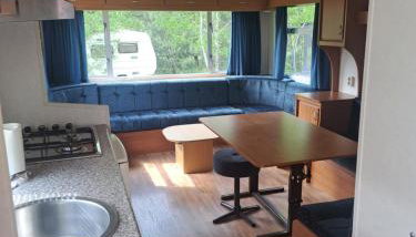 Ulinia Wilcza 4 niebieski - Foto 4