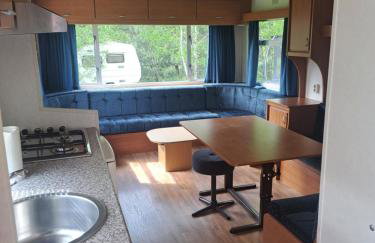 Ulinia Wilcza 4 niebieski - Photo 4