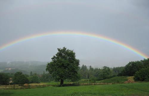 Les Perruchons ancienne grange rénovée avec soin - Foto 10
