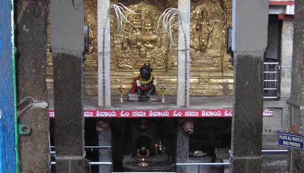 O Caminho do Património de Malleswaram - Foto 4