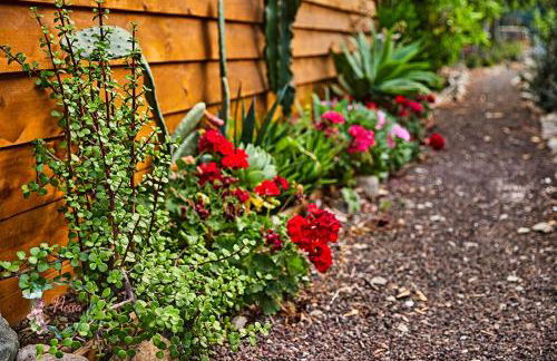 Finca OASIS Fataga - Foto 73