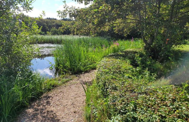 Apartment in Bergen aan Zee With Roof Terrace - Photo 25