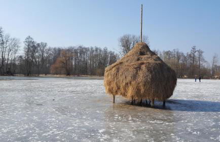 Spreewaldhaus zum Schoberplatz - Foto 21