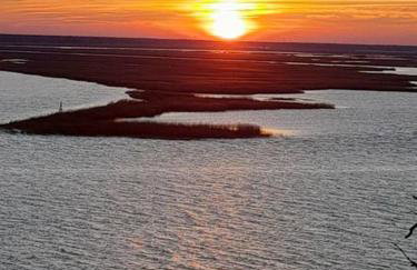 Apartamenty Pod Debem (Ferienwohnungen an der uralten Eiche) - Foto 29