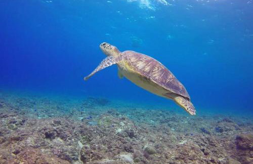 Traditional house by the sea 2 - Foto 25