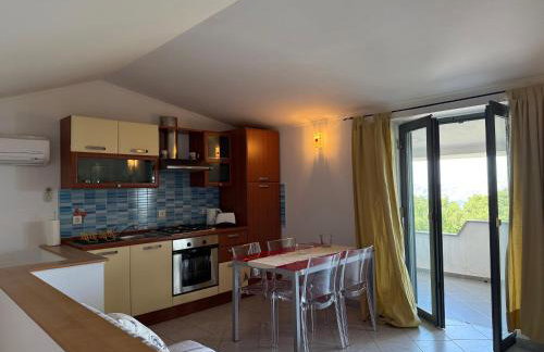 House Bralići - Foto 21