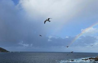 Villa Miel - Foto 14