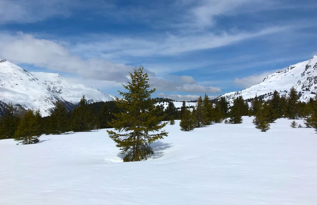 Sur Baselgia - Foto 39