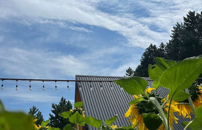 House of Memories - Photo 4