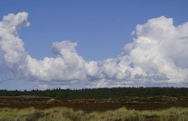 Beachfront Bungalow Bliss - By Traum Ferienwohnungen - Foto 12