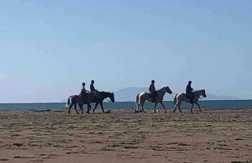 Casa Lucia a due passi dal mare Wi-Fi free parking - Foto 13