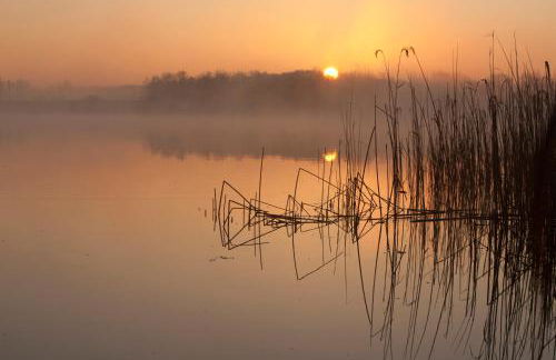 Am Gallowayhof - Foto 33