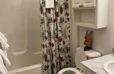 4 BR: Timbers #1 Stand alone Cabin - Foto 19