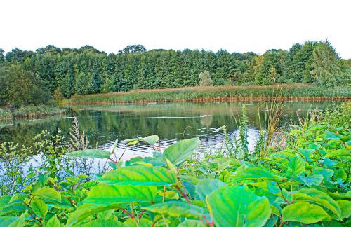 IRS ROYAL APARTMENTS Apartamenty IRS Nadmorski Dwór - Foto 36